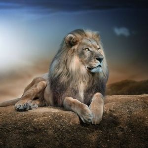 Meet your Posher, Charles